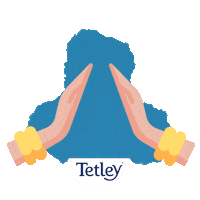 TetleyPortugal mindfulness teatime cha nutricao Sticker