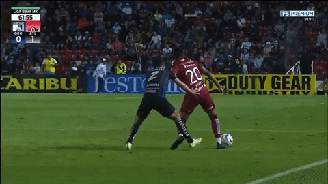 qwerpoiu22ppop giphyupload GIF