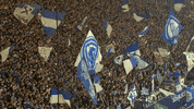 Football Sport GIF by FC Schalke 04