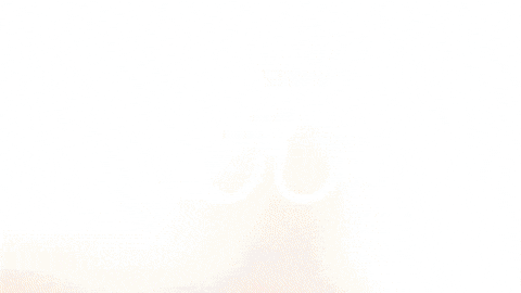 Lassina Traore Celebration GIF by FC Red Bull Salzburg