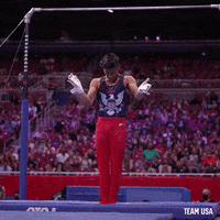 Celebrate Lets Go GIF by Team USA
