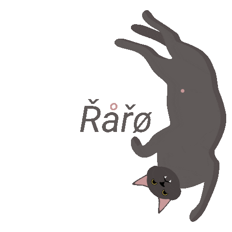 MonsteraCommunicationLab giphyupload cat kitten ivan Sticker