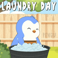 Laundry Day Penguin GIF by Pudgy Penguins