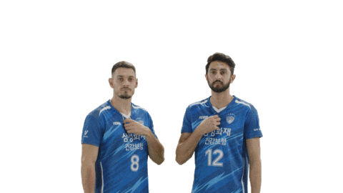 Kovo Vleague Sticker by SAMSUNG BLUEFANGS VOLLEYBALL CLUB