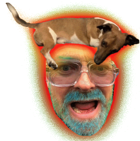 Happy Sausage Dog Sticker by ladypat