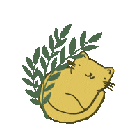 sowingground cat cats kitty plant Sticker