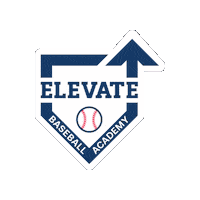 Baseball Elevate Sticker by Ozball