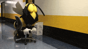 AICYellowJackets sports bored superman chair GIF