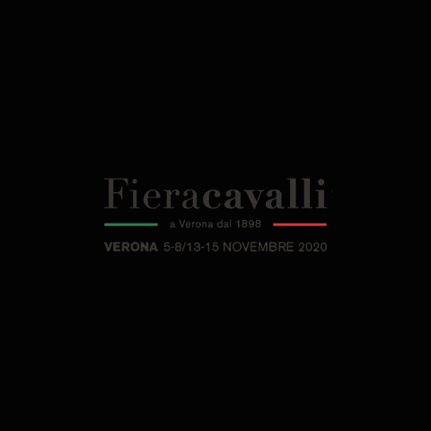 Fieracavalli Horsefriendly GIF by veronafiere