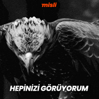 Sponsor Tammy GIF by Misli