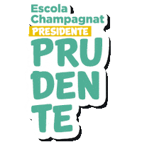 Ech Sticker by Escola Champagnat