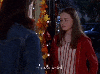 season 1 netflix GIF by Gilmore Girls 