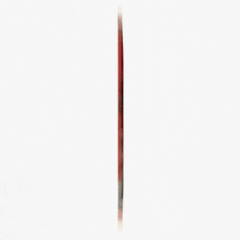 Photographer Lollapalooza GIF by Respective