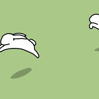 Hopping White Rabbit GIF by Suzy Tolen