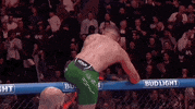 Mixed Martial Arts Sport GIF by UFC