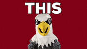 uwlacrosse uwlax uwlacrosse uw-lacrosse uw la crosse GIF
