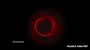Black Hole Space GIF by Science Friday