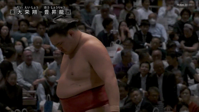 TZ85 giphyupload sumo 2023 natsu basho hoshoryu GIF