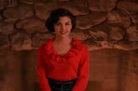 season 1 GIF by Twin Peaks on Showtime