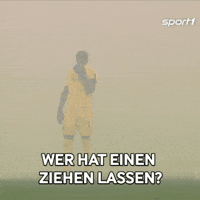 Football Soccer GIF by SPORT1