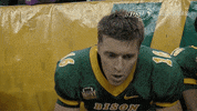 football bison GIF by NDSU Athletics