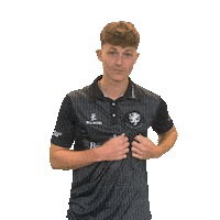 Ball Bat Sticker by Somerset County Cricket Club