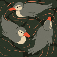 Animation Loop GIF by elif demir