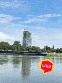 Window What GIF by Linz News