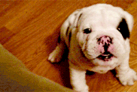 stop it GIF
