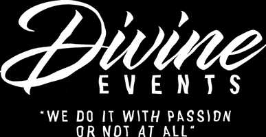 divine-events daydance dayparty divineevents daydancezug GIF