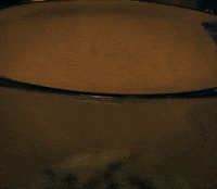 I Had Some Help GIF by Post Malone