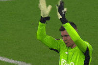 Europa League Applause GIF by UEFA