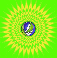 GIF by Steve Konklin