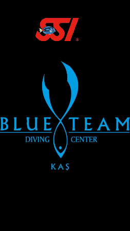 Blueteamdiving giphygifmaker giphyattribution blueteamdivingcenter blueteamdiving GIF
