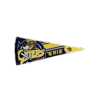 Hockey Pennant Sticker by OttersHockey