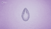 Earth Parasite GIF by PBS Digital Studios