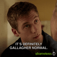 Episode 9 Showtime GIF by Shameless