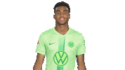 Germany Win Sticker by VfL Wolfsburg