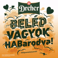 Dreherbeer valentinesday dreher valentinnap drehersör GIF