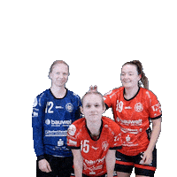 Handball Sticker by Hollenstedt-Handball