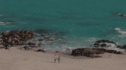 Mexico Beach GIF by Switzerfilm
