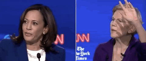 Elizabeth Warren GIF by GIPHY News