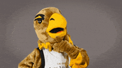 Eddietheeagle GIF by Cal State LA