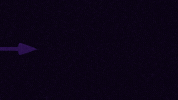 Austria Wien Goat GIF