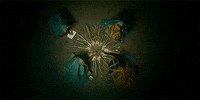 The Green Knight GIF by A24