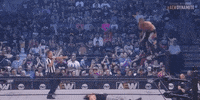 Wrestle Matt Hardy GIF by All Elite Wrestling on TNT