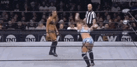 Wrestlingmatch GIF by All Elite Wrestling on TNT