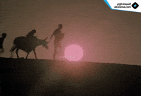 #theeloquentpeasant GIF by elCinema.com