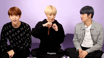 Puppies