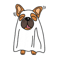 fun dog Sticker by Ivo Adventures